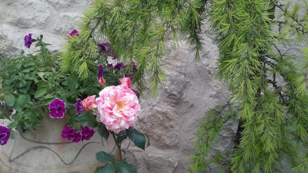 Lamihan Cave Hotel Ortahisar Exterior photo